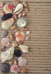 Sea shells and stones