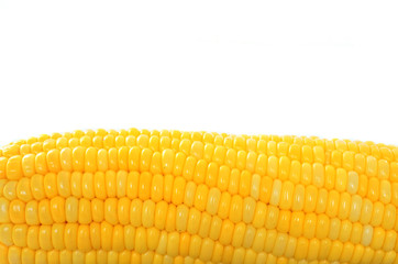 Corn