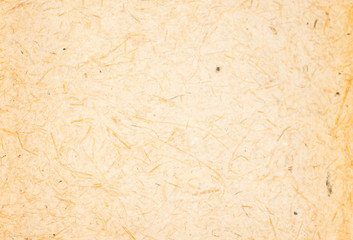 Mulberry paper Texture