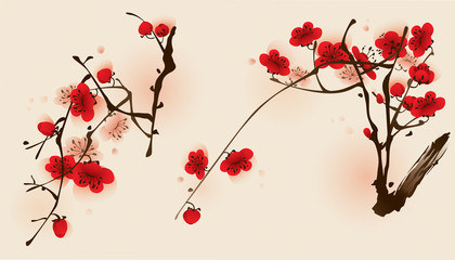 Plum blossom flowers in two different compositions.