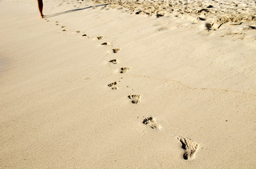 Footprints in beach