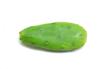 Opuntia
