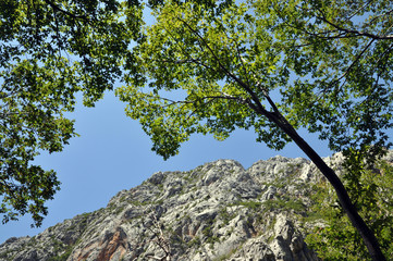 Fototapeta na wymiar Felsen in der Paklenica-Schlucht, Kroatien
