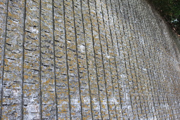 Fototapeta premium 壁