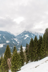 Fototapeta premium Ski resort town Bad Gastein in winter snowy mountains