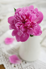 Pink peony in jug on vintage lace tablecloth