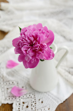 Pink peony flower in  jug on vintage lace tablecloth
