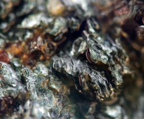 Crystal stone. Extreme closeup.Macro
