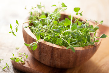 Obraz na płótnie Canvas fresh thyme herb in wooden bowl