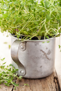 fresh thyme herb in rustic cup