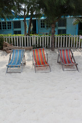 Tree deck chairs on the beach.