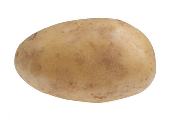 potato isolated on white background