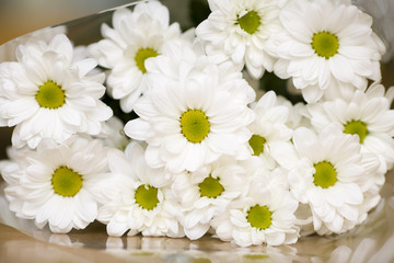 Bouquet of white daisies