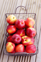 basket of nectarines