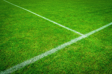 Obraz premium football (soccer) field