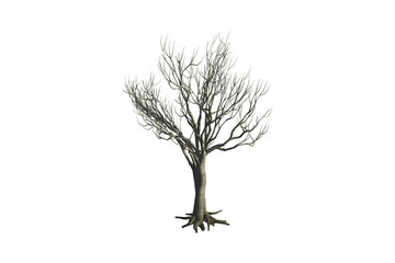 Obraz premium Martwe drzewo