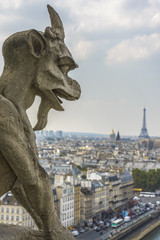 Aerial View of Paris from Notre-dame