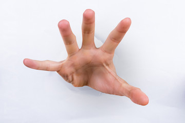 hand in Torn Paper
