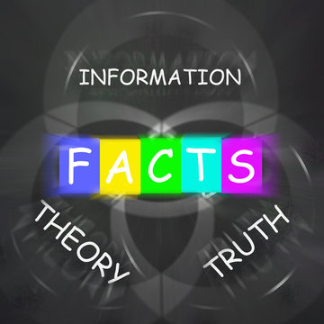 Words Displays to Information Truth Theory and Fact