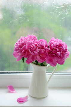 Bouquet of pink peonies on a windowsill