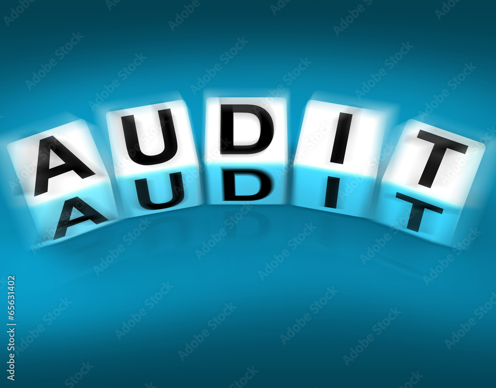 Poster audit blocks displays investigation examination and scrutiny