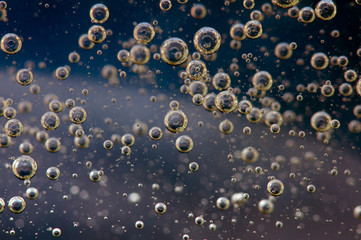 Air bubbles in a liquid. Abstract background. Macro