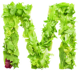 m lettuce letter on a white background