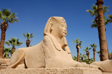 Sphinx - Criosphinx du dromos au corps de lion à tête du phara