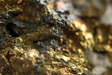 Golden background. Macro
