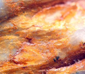 Obraz na płótnie Canvas Charoite (K(Ca;Na)2Si4O10(OH;F)·H2O) is a rare silicate mineral