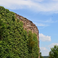 Schlossmauer mit Efeu bewachsen
