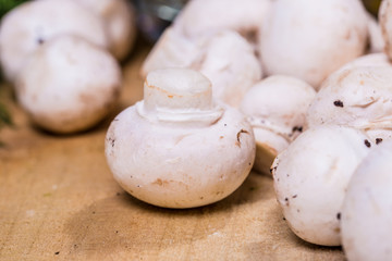 fresh vegetables on the wooden table