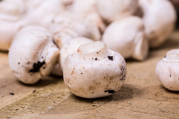 button mushrooms
