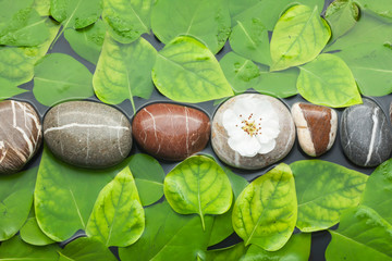 Striped stones and leaf in water on a wet  background