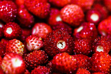 Fresh red forest strawberry