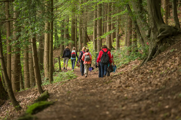 a group of walker in a forest