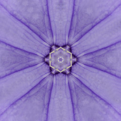 Purple Concentric Flower Center Mandala Kaleidoscopic design