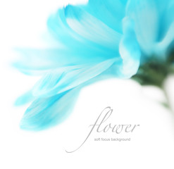 Soft focus flower background with copy space. Made with lens-bab