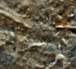 Dirt. Macro. Extreme closeup