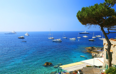 Obraz premium Capri Island, Italy, Europe
