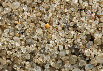 Sand. Macro. Extreme closeup