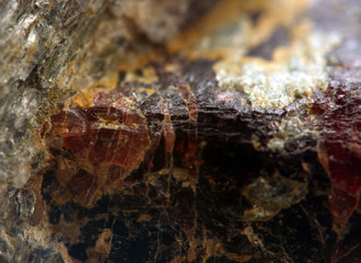 Ruby natural raw in a stone .Macro