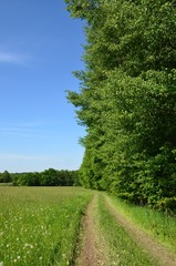 Naturlandschaft mit Weg