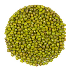 green bean