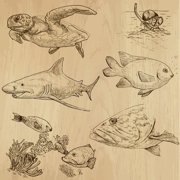 Underwater, Sea Life (vector set no.1) - hand drawn