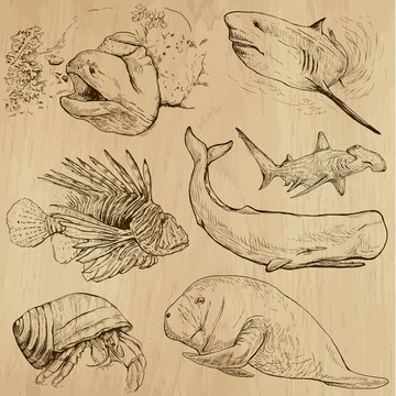 Underwater, Sea Life (vector set no.4) - hand drawn