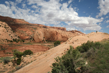Zion Nationalpark Landschaft
