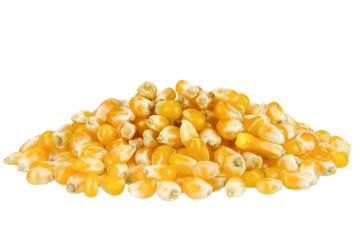 Corn