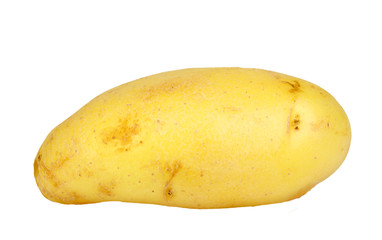 Single yellow raw potato
