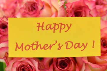 życzenia na dzień matki na tle przepięknych róż - obrazy, fototapety, plakaty